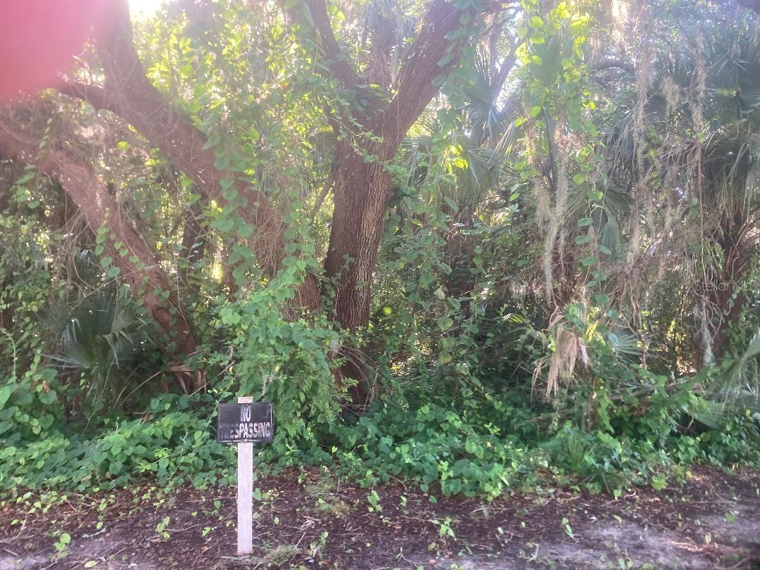 Nancy St., Oak Hill, FL 32759