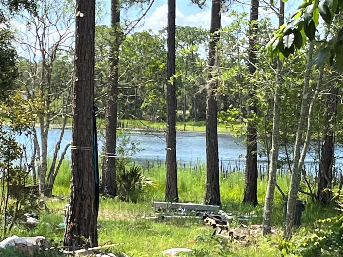 42334 W Lake Rd., Deland, FL 32720