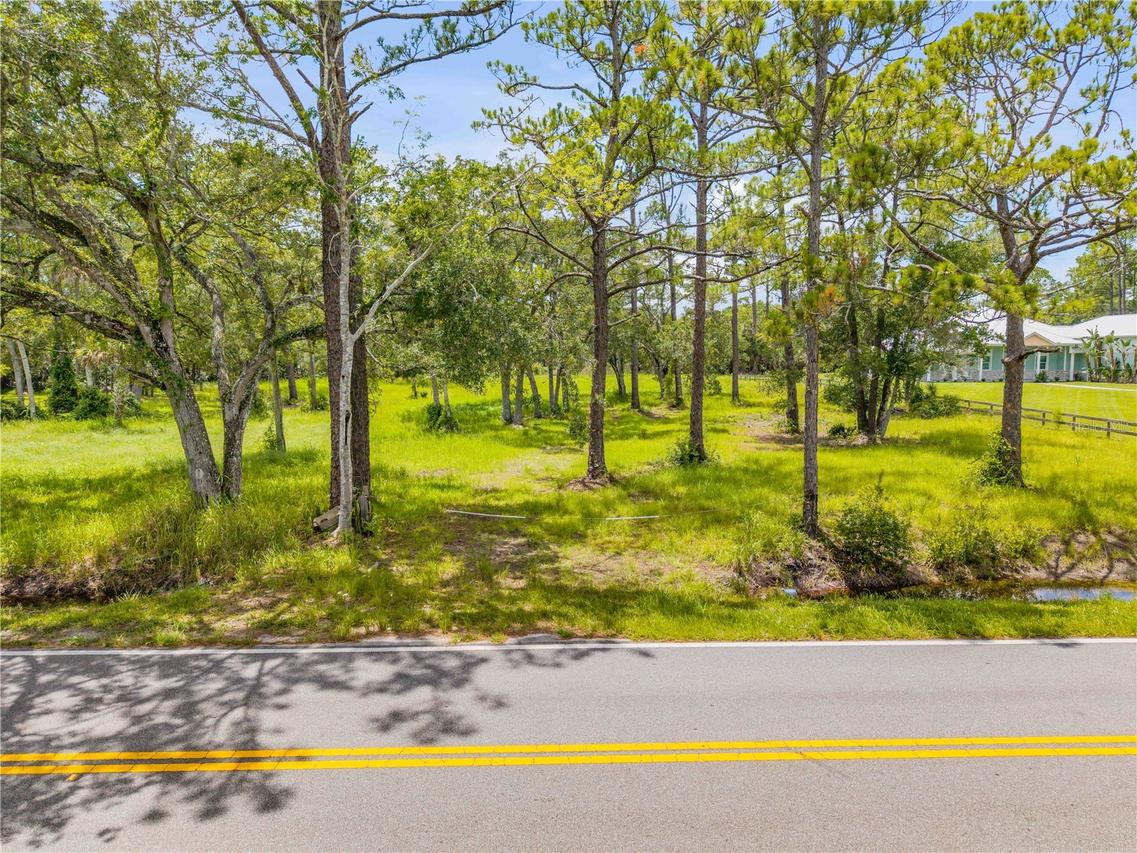1172 Williams Rd., New Smyrna Beach, FL 32168