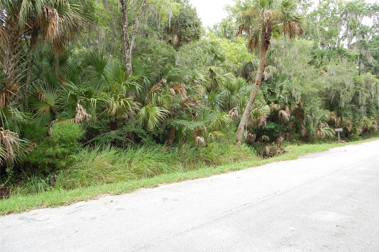 Palm Dr., New Smyrna Beach, FL 32168