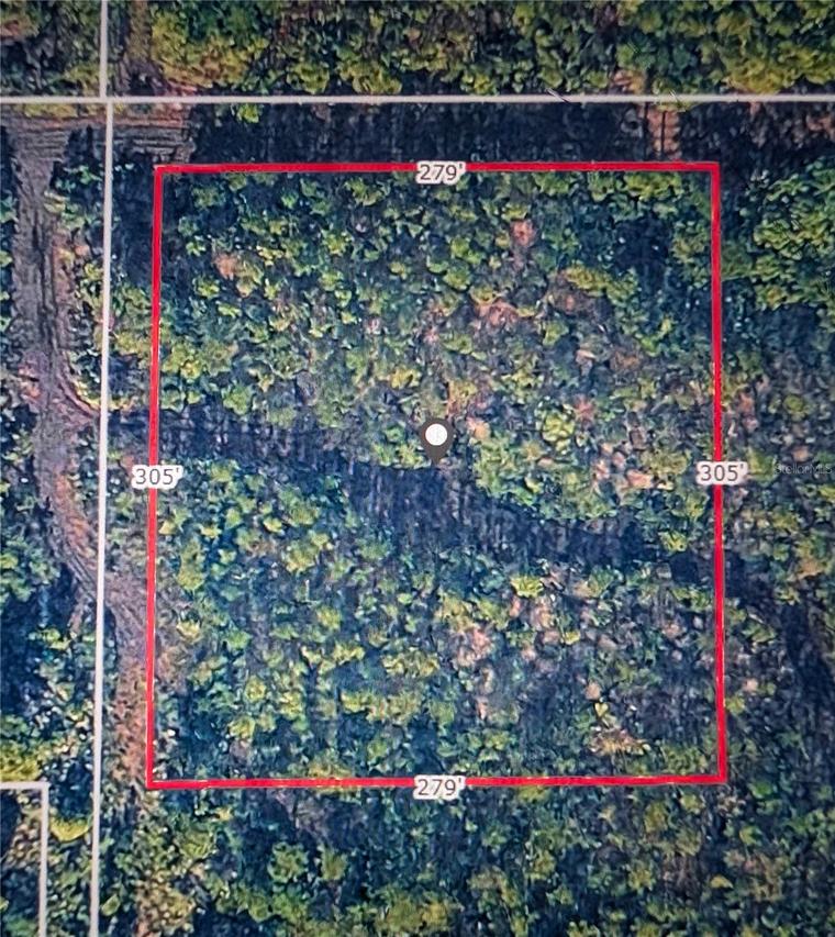 Misty Morgan Lane, New Smyrna Beach, FL 32168