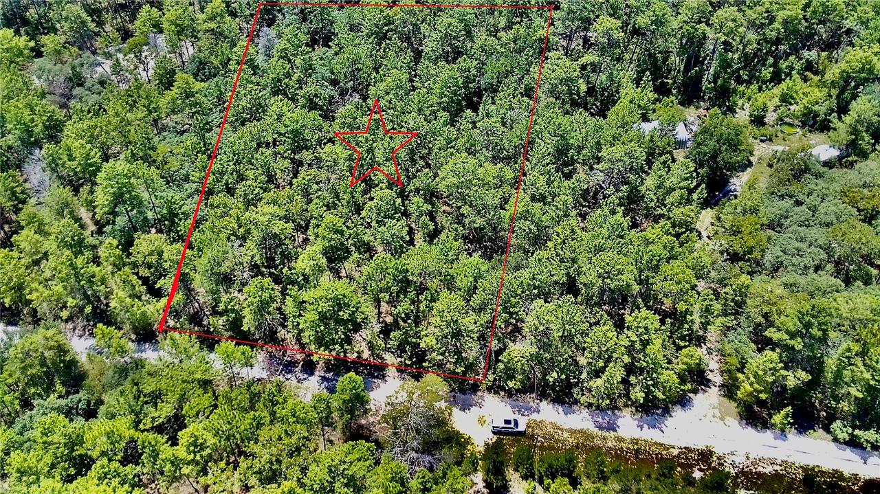 121 Pear St., Welaka, FL 32193