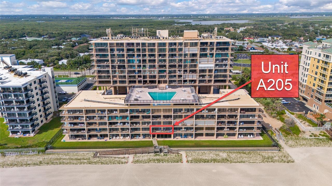 4139 S Atlantic Ave. #A 205, New Smyrna Beach, FL 32169