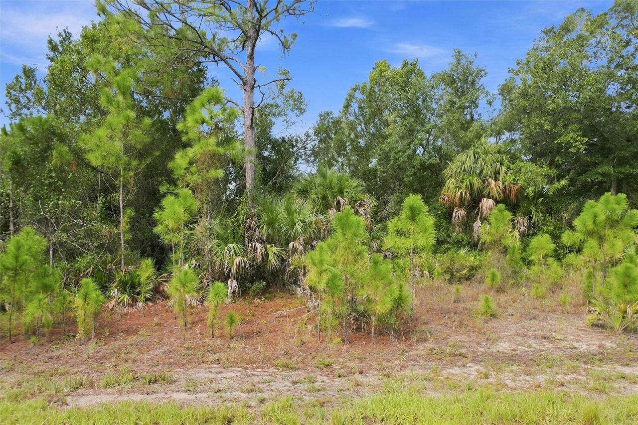 Dunmore St., North Port, FL 34288