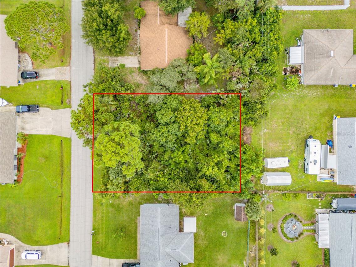 Umbrella Tree Dr., Edgewater, FL 32132