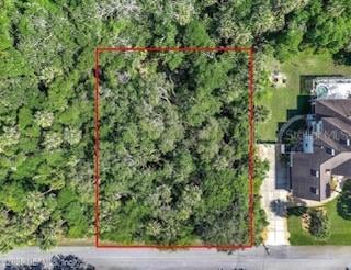 31 Deerwood St., Palm Coast, FL 32137