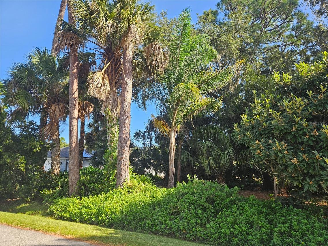 Pine Tree Dr., Edgewater, FL 32141