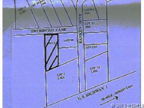 Swordfish Ln., Oak Hill, FL 32141