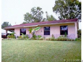 3421 Umbrella Tree Dr., Edgewater, FL 32141