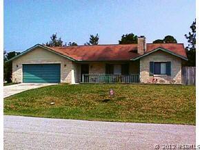 3203 Umbrella Tree Dr., Edgewater, FL 32141