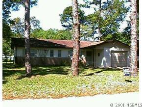 1606 Travelers Palm Dr., Edgewater, FL 32132