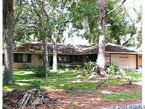 1724 Travelers Palm Dr., Edgewater, FL 32132