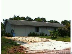 3317 Umbrella Tree Dr., Edgewater, FL 32141