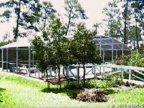 295 Sugar Sand Tr., New Smyrna Beach, FL 32168