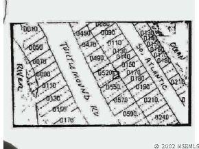 Turtlemound Rd., New Smyrna Beach, FL 32169