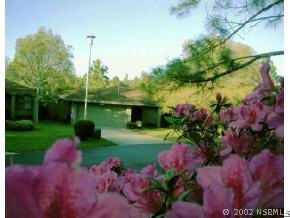 344 Troon Ct., New Smyrna Beach, FL 32168