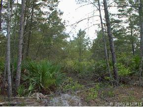 4006 Budd Rd., New Smyrna Beach, FL 32168