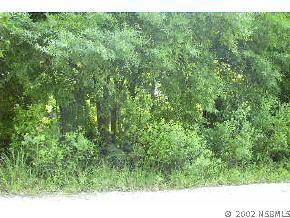 4642 Tree Top Ln., Edgewater, FL 32141