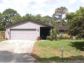 2622 Travelers Palm Dr., Edgewater, FL 32141