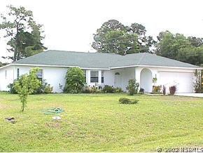 2331 Umbrella Tree Dr., Edgewater, FL 32141