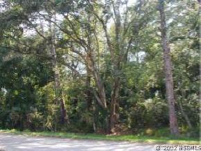 Pearl St., New Smyrna Beach, FL 32168