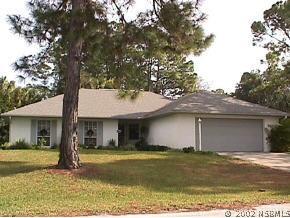 2529 Travelers Palm Dr., Edgewater, FL 32141