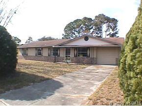 1724 India Palm Dr., Edgewater, FL 32132