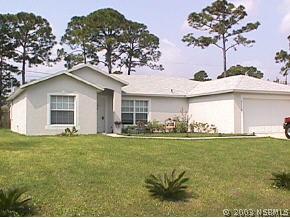 3118 Umbrella Tree Dr., Edgewater, FL 32141