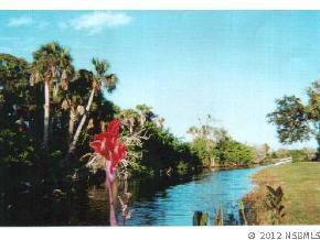 Palm Ave., Oak Hill, FL 32759