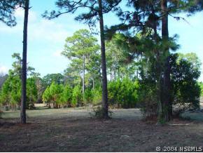 164 Lagoon Ave., Oak Hill, FL 32759