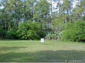 2512 Glenhaven St., New Smyrna Beach, FL 32168