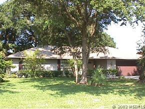 1315 Travelers Palm Dr., Edgewater, FL 32132