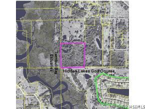 Whispering Dr., New Smyrna Beach, FL 32168