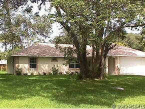 3316 Mango Tree Dr., Edgewater, FL 32141