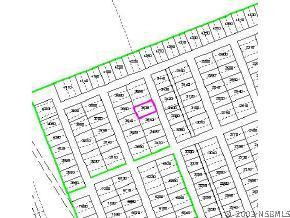 Unity Tree Dr., Edgewater, FL 32141