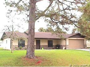 3223 Yule Tree Dr., Edgewater, FL 32141