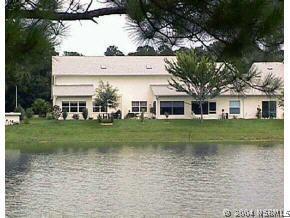 316 Windhaven Ln., New Smyrna Beach, FL 32168