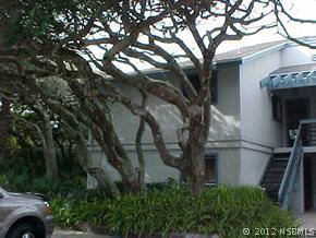 4325 Sea Mist Dr. #245, New Smyrna Beach, FL 32169