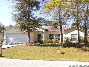 3322 Needle Palm Dr., Edgewater, FL 32141