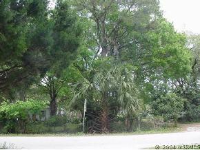 1711 Elizabeth St., New Smyrna Beach, FL 32168