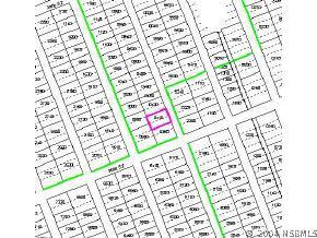 Needle Palm Dr., Edgewater, FL 32141