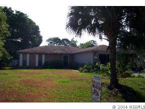 2521 Travelers Palm Dr., Edgewater, FL 32132