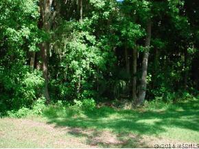 Davis Dr., New Smyrna Beach, FL 32168