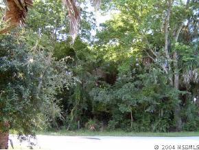 158 Azalea Rd., Edgewater, FL 32141