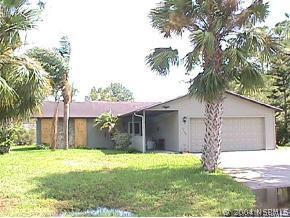 2525 Travelers Palm Dr., Edgewater, FL 32141