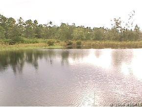 1075 Sr 415, New Smyrna Beach, FL 32168