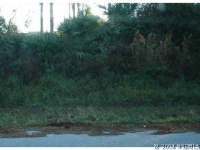 Guava Dr., Edgewater, FL 32141