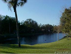 2259 Branchwood Dr., New Smyrna Beach, FL 32168