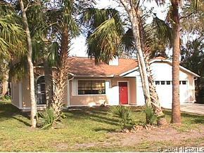 2531 Mango Tree Dr., Edgewater, FL 32141