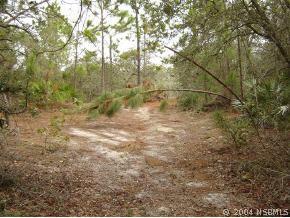 Beacon Light Rd., Edgewater, FL 32141